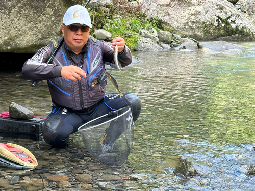 アユの釣果