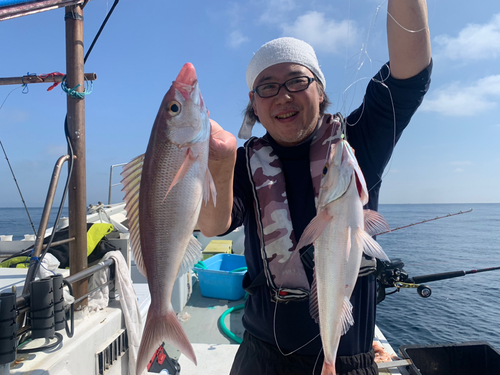 ヒメダイの釣果