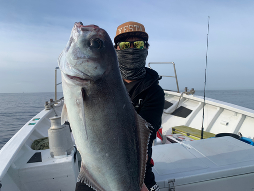 メダイの釣果