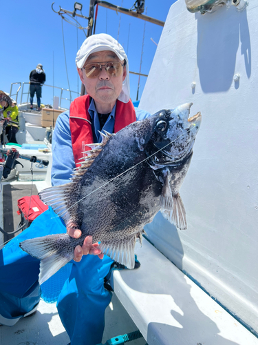 イシガキダイの釣果