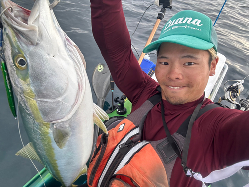 ブリの釣果