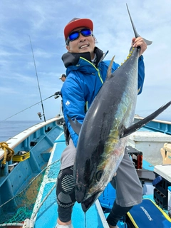 キハダマグロの釣果