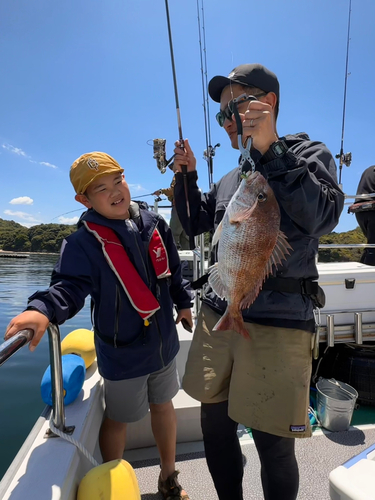 マダイの釣果