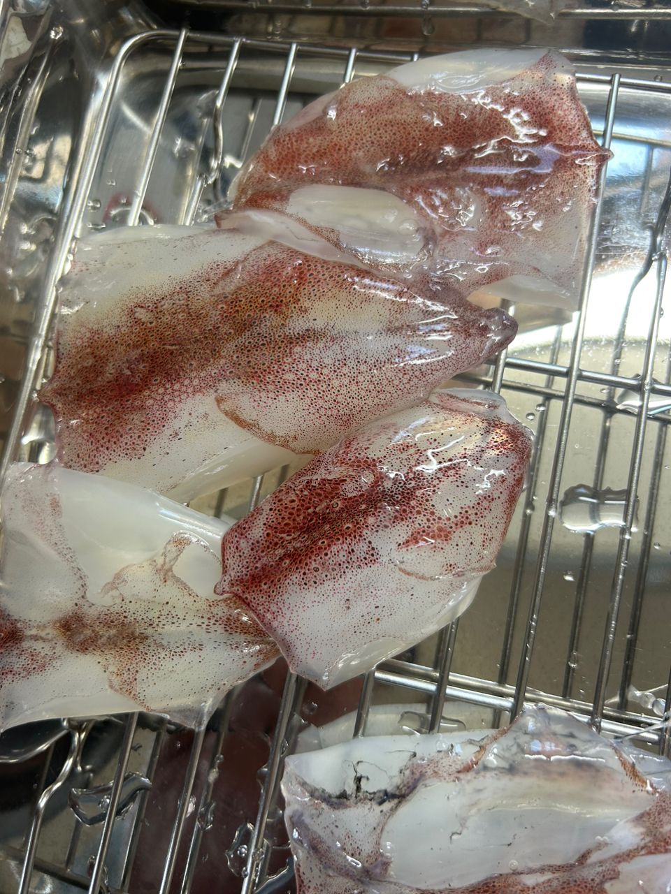 ボンビー釣りオヤジさんの釣果 3枚目の画像