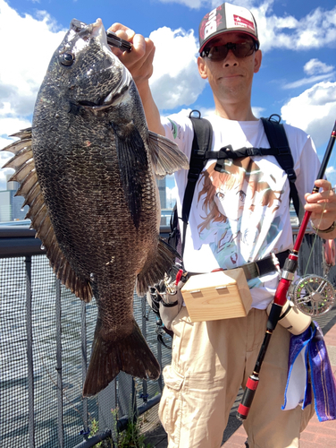 チヌの釣果