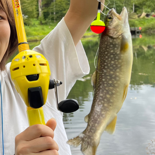 長野県南部