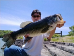 ブラックバスの釣果