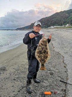 ヒラメの釣果