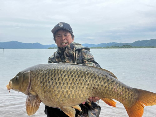 コイの釣果