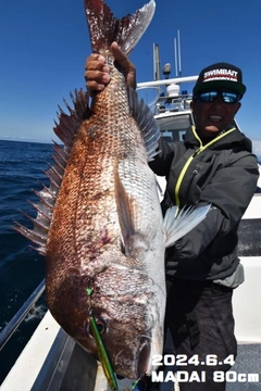 マダイの釣果