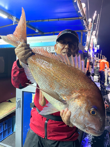 ヤリイカの釣果