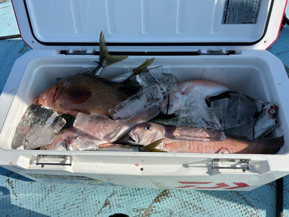 ひぐりんさんの釣果 3枚目の画像