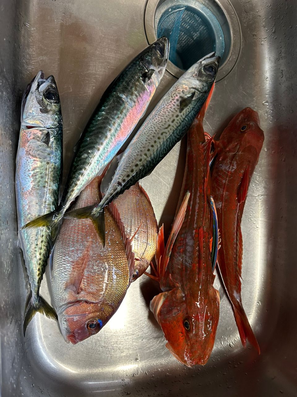 ☆沙乃○☆さんの釣果 3枚目の画像