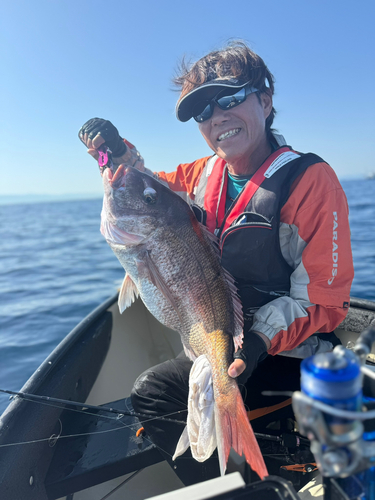 マダイの釣果