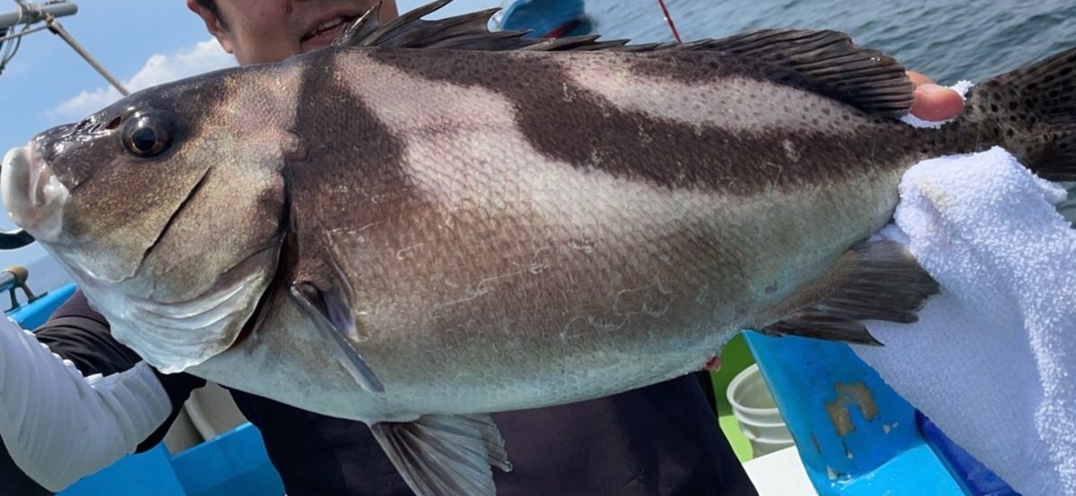 コッスーFさんの釣果 2枚目の画像