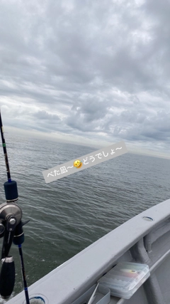 アイナメの釣果