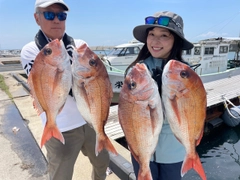 マダイの釣果