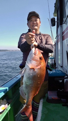 マダイの釣果