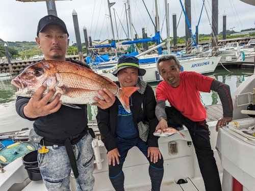 タイの釣果