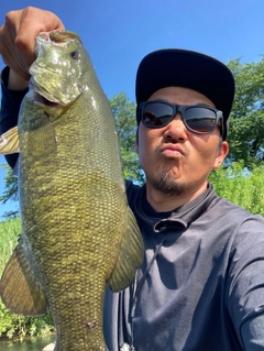 スモールマウスバスの釣果