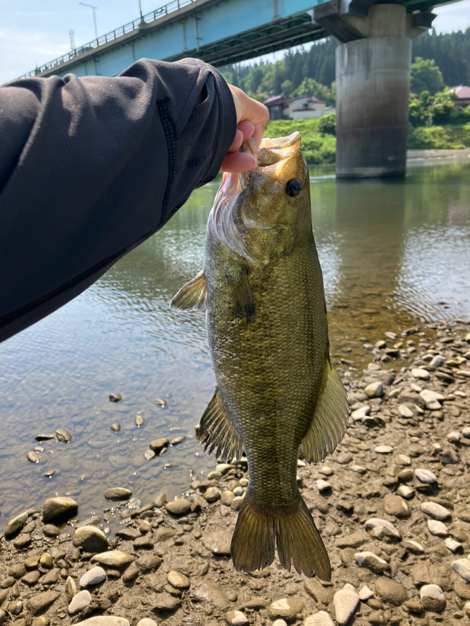 スモールマウスバス