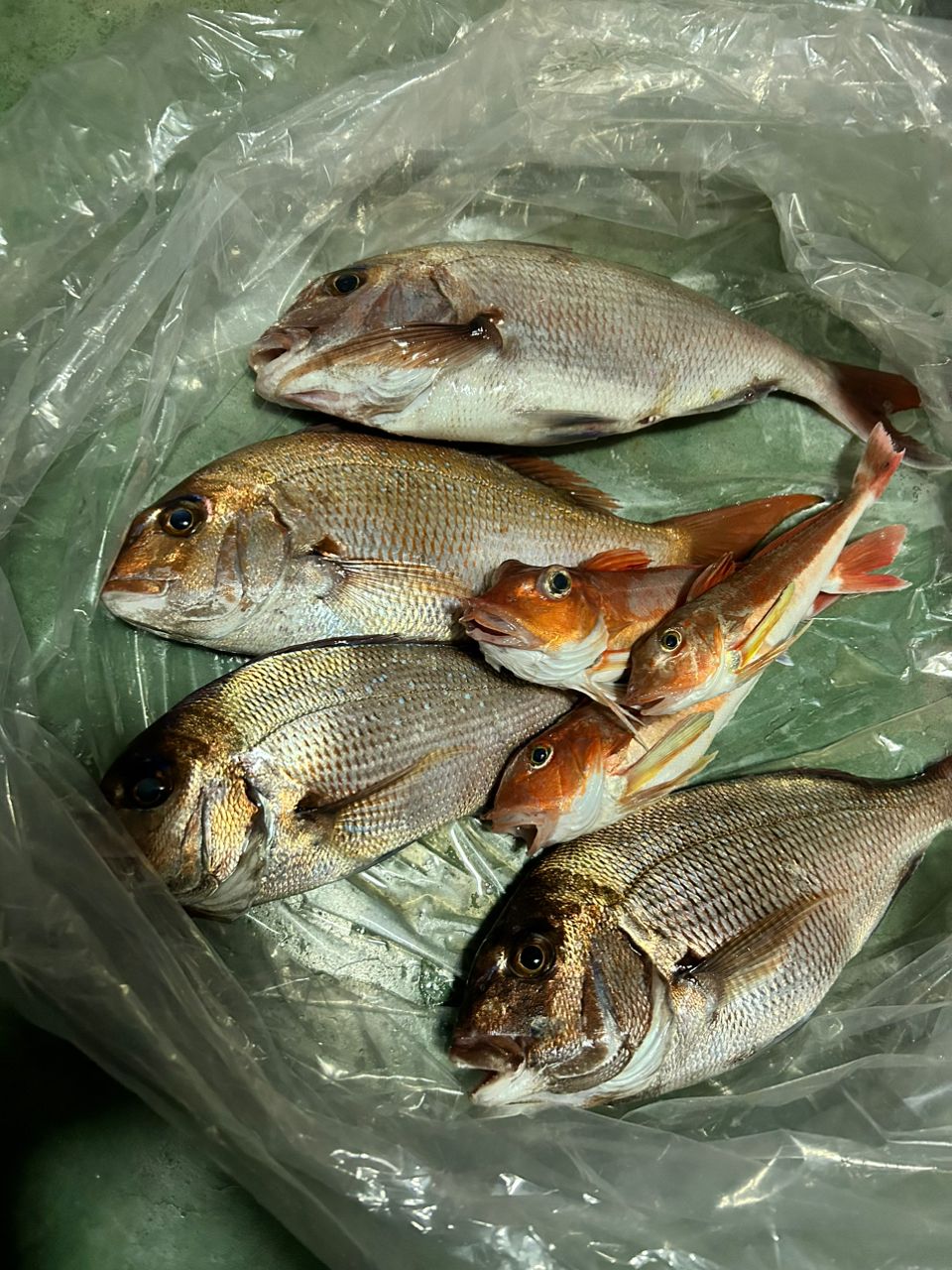 hymさんの釣果 2枚目の画像