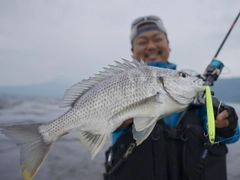 キビレの釣果