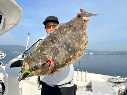 ヒラメの釣果