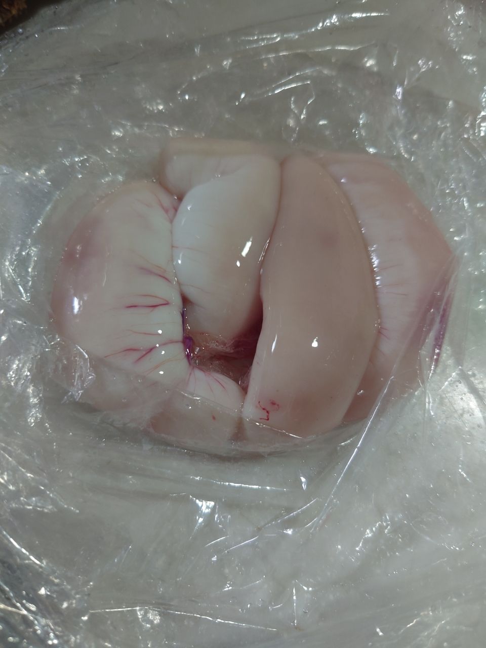 カワハギ太郎さんの釣果 3枚目の画像