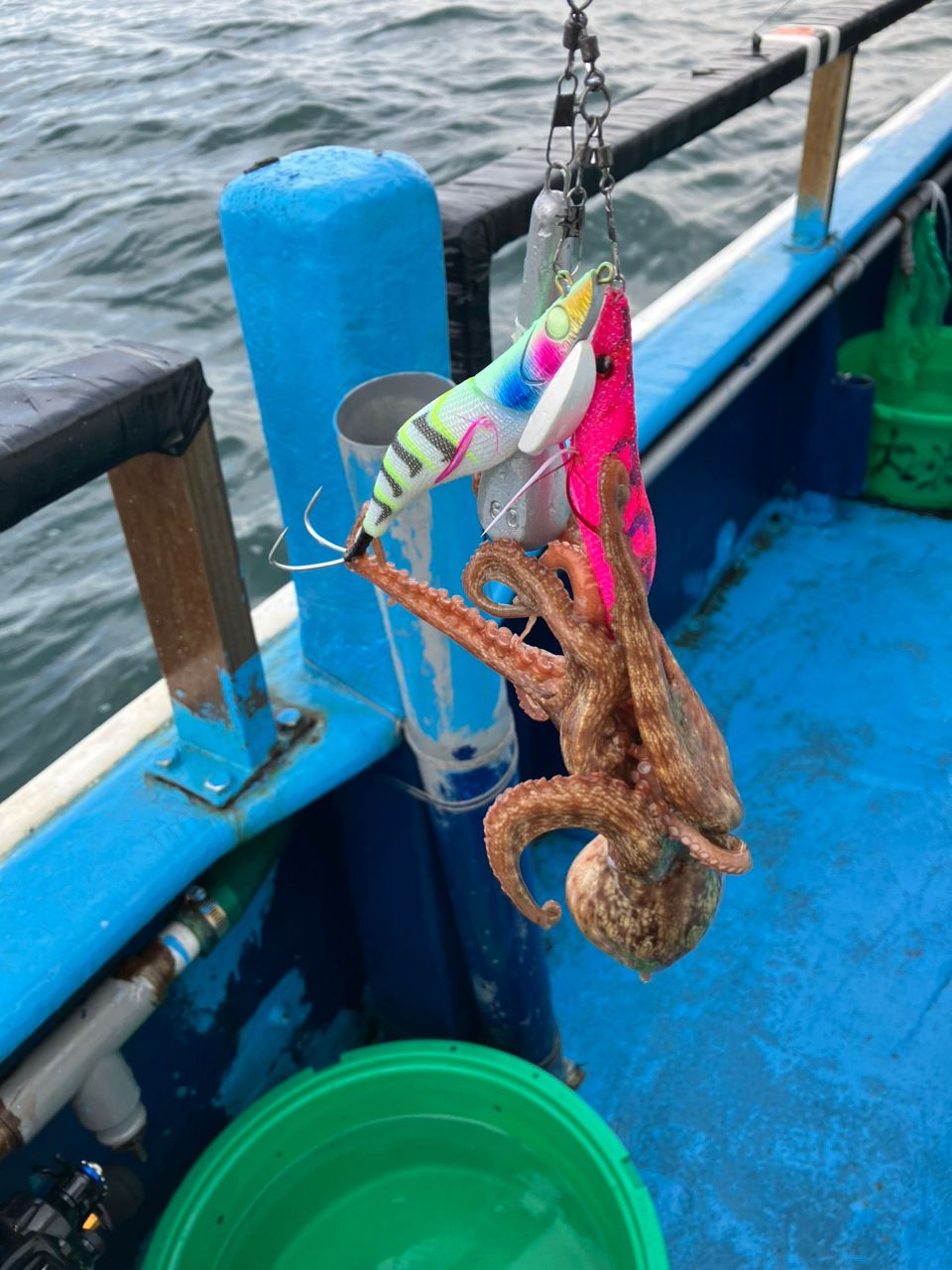 龍司さんの釣果 2枚目の画像