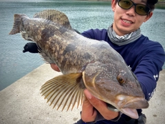 アイナメの釣果