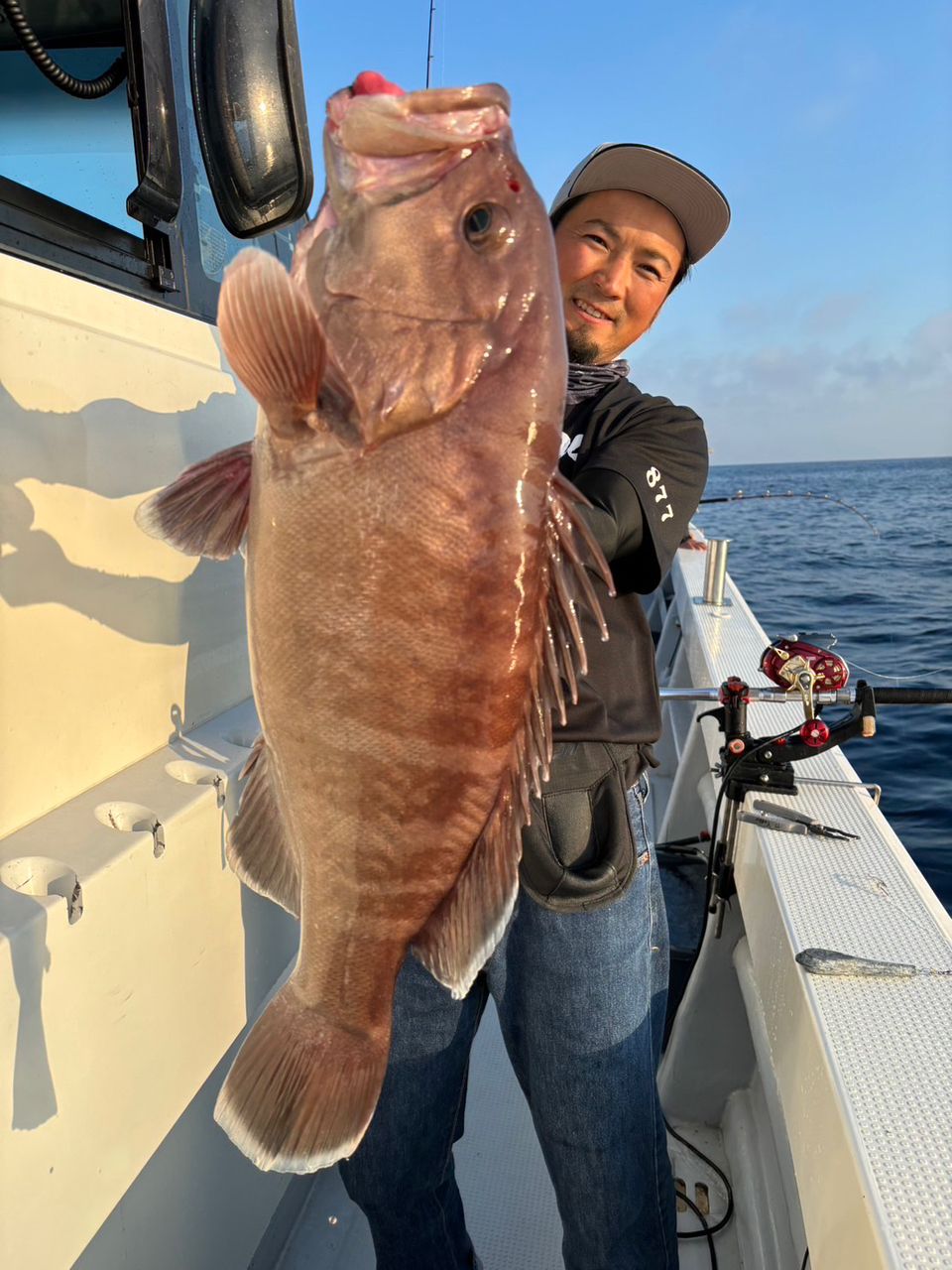 11yossyさんの釣果 2枚目の画像