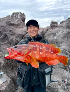 アカハタの釣果