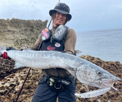 オニカマスの釣果