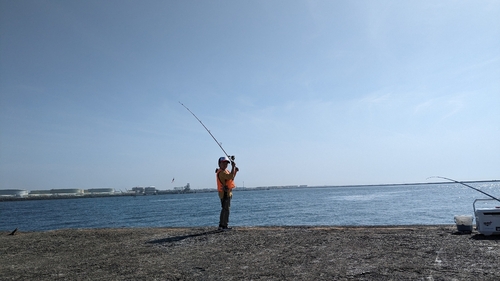 マアジの釣果