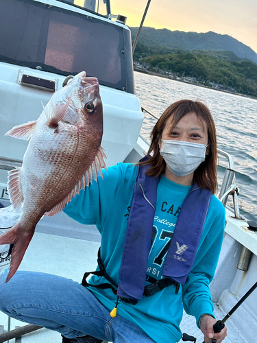 マダイの釣果