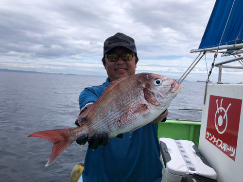 マダイの釣果