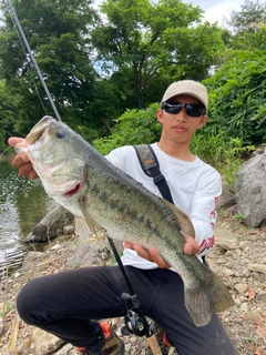 ブラックバスの釣果