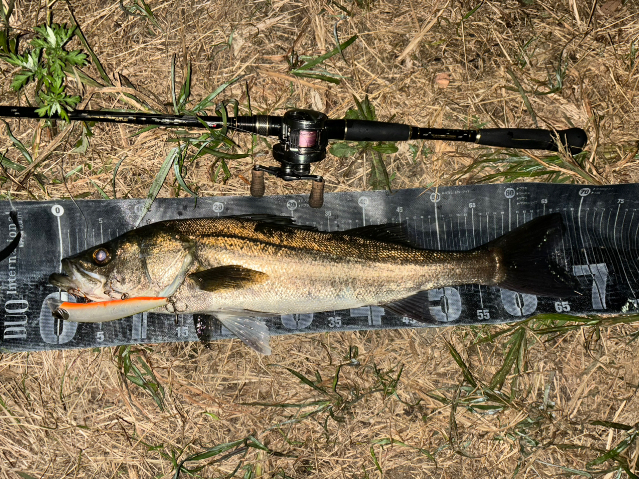 AbuGarcia クロスフィールド XRFC-732Hの最安値・インプレ・釣果