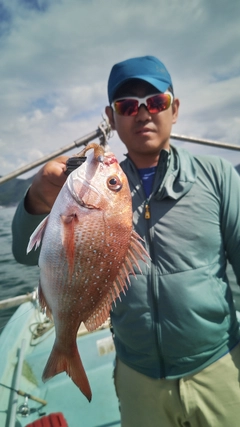 タイの釣果