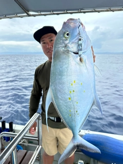 ナンヨウカイワリの釣果