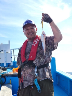 アマダイの釣果