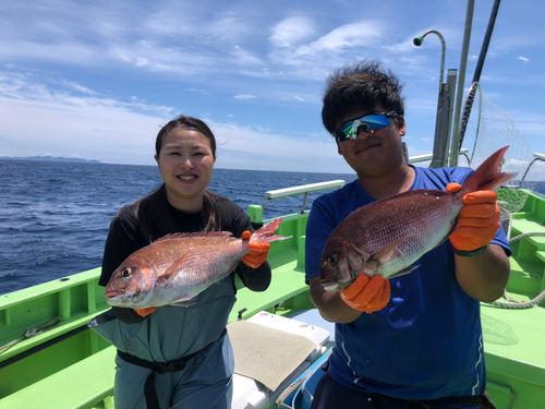 マダイの釣果