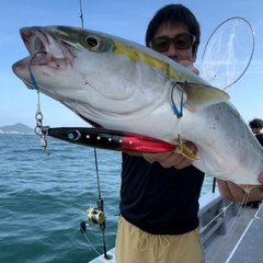 ハマチの釣果