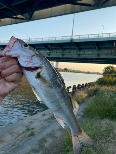 多摩川大橋