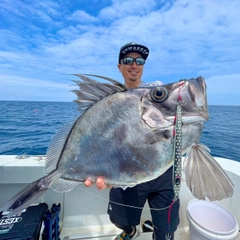 カガミダイの釣果