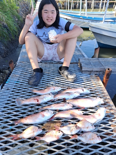 シロアマダイの釣果