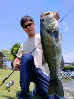 ブラックバスの釣果