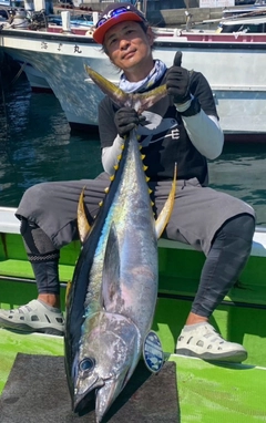 キハダマグロの釣果