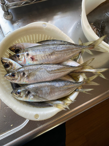 鰺ヶ沢漁港